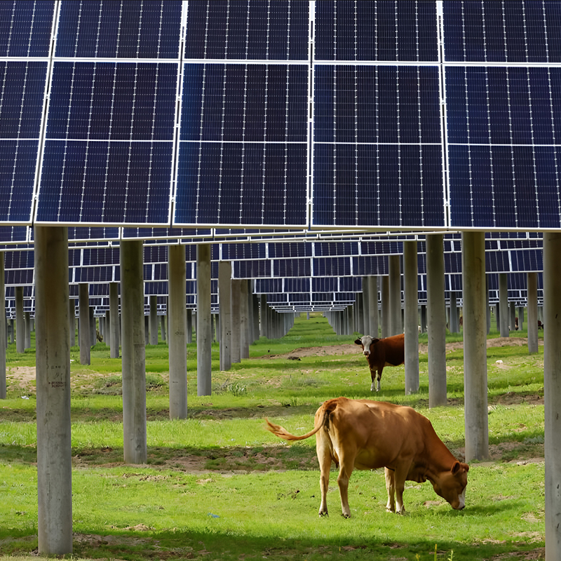 Pasture-Solar Hybrid Power Station