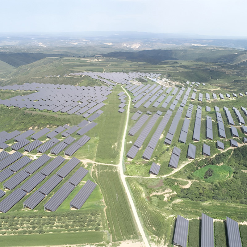 Agri-Forestry-Animal Husbandry-PV Complementary Power Station
